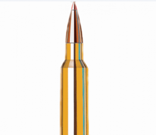 Cheap Bullet