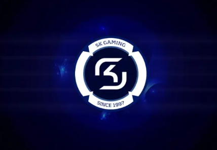SK Gaming CFG